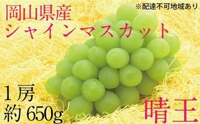 ぶどう 2026年 先行予約 9月・10月発送 シャイン マスカット 晴王 1房 約650g ブドウ 葡萄  岡山県産 国産 フルーツ 果物 ギフト デザート 食後 酸味が少ない 産地直送