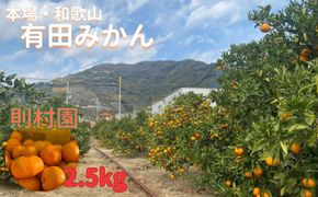 則村園産 有田みかん 2.5kg 温州みかん みかん 蜜柑 甘い 甘いみかん 有田 有田川町 和歌山 EX01