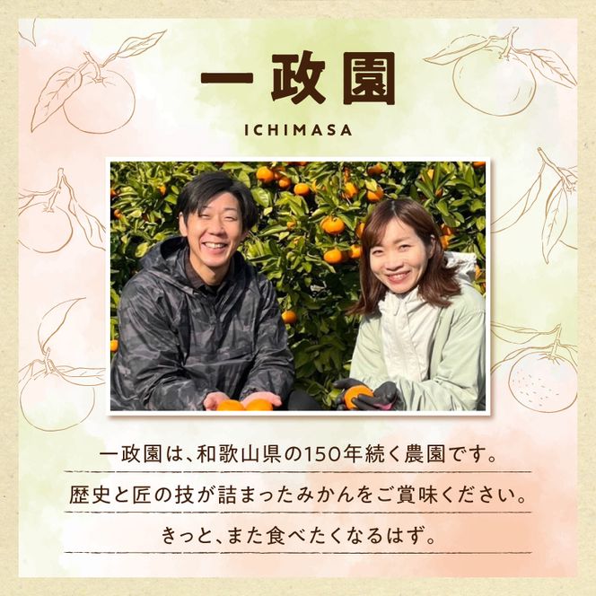 《2026年11月上旬～11月中旬頃までに順次発送予定》【2026年先行予約】【数量限定】有田みかん 極早生 約2.6kg 訳あり_TR1001