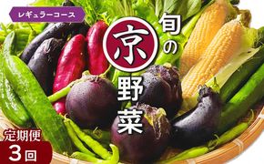 【3回定期便】旬の京野菜　毎月お届けレギュラーコース（全3回）≪京都 丹波 野菜 ふるさと納税野菜≫ ※沖縄・離島・諸島へのお届け不可