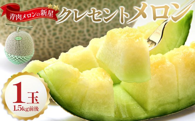784.【先行予約】青肉メロンの新星「クレセントメロン」1.5kg前後×1玉　※2026年７月中旬より順次発送 313726_AS008
