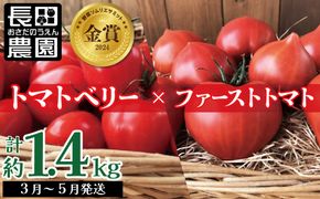 【2027年発送】【人気No.1セット】ファンにならずにいられない ファーストトマト＆トマトベリー 計約1.4kｇ（3月～5月で発送）　H004-197