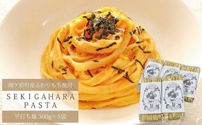 関ケ原町産ふわりもち使用 関ケ原パスタ（平打ち麺）計1500g（300g×5袋 約15人前）
