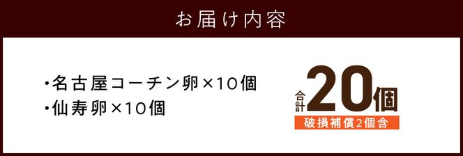 名古屋コーチン卵・仙寿卵お試しセット(各10個入り)[006K02]