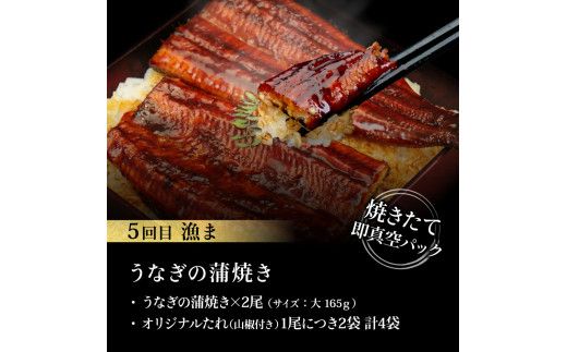 【CF-R7hbk】t112kgp-tka　漁ま＆天下味“土佐人気料理店”芸西村本気の5か月定期便（お二人様満喫用）／1回目：カツオのたたき 銀象シリーズ、2回目：赤白ホルモン、3回目：塩昆布熟成赤身＆中トロ、4回目：カツオのたたき 土佐にんにくぬたシリーズ、5回目：うなぎの蒲焼〈大〉