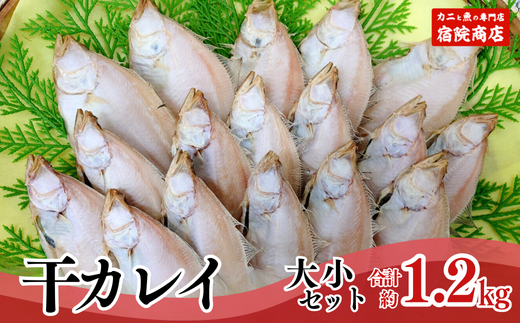 【干物 干カレイセット 合計1.2kg以上（大5～8枚 約600g、小11～15枚 約600g）香住産 冷凍】身の厚い大きめのカレイ、少し小ぶりのカレイセットです。焼きたてに淡口醤油をひとかけすると香りよく食せます。南蛮漬もおススメ。絶妙の塩加減 大人気 ふるさと納税 送料無料 唐揚げ お酒のお供 日本海 香住港 柴山港 兵庫県 香美町 香住 柴山 宿院商店 33-13