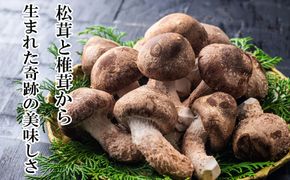 松太郎ギフト（生詰め合わせ）【夏季冷蔵便対応】-[G129-2]