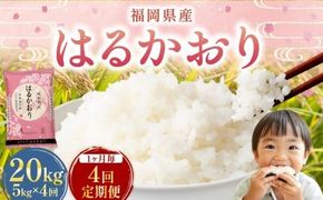 【1ヶ月毎4回定期便】 はるかおり 5kg 計20kg ／ 米 コメ お米 ライス ご飯 ごはん 飯 食品 精米 定期便 常温 福岡県 香春町
