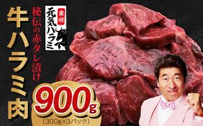 010B1801 【TVで紹介！】牛ハラミ肉 900g 秘伝の赤タレ漬け【小分け 300g×3P 牛肉 焼肉用 焼くだけ 小分け BBQ やきにく】
