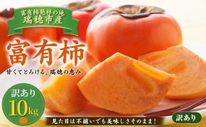 富有柿 訳あり 10kg | 柿 富有柿 かき カキ フルーツ 果物 スイーツ おやつ 訳あり 訳アリ わけあり 規格外 家庭用 家用 不揃い ふぞろい 産地直送 岐阜 瑞穂市 送料無料 ※2026年11月～発送