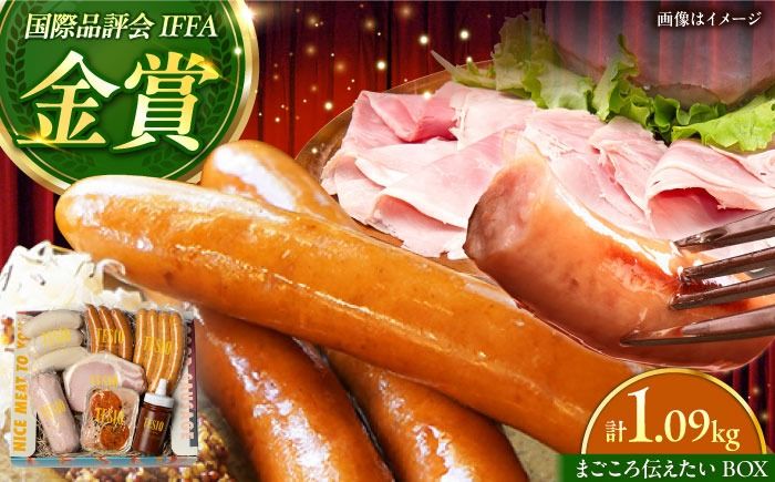TESIOの自家製ハム&ソーセージ 『まごころ伝えたいBOX』 豚肉 ハム ソーセージ 小分け 真空パック 沖縄市 / TESIO[BCAD003]