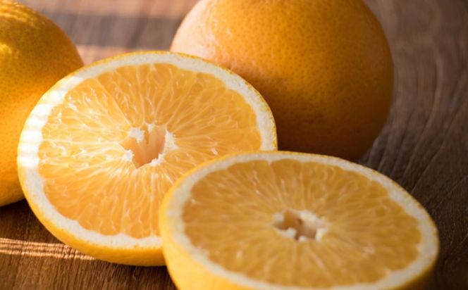 こだわりの和歌山有田産木成り熟成さつき八朔約7.5Kg(M～２Lサイズおまかせ) ★2026年3月下旬頃より順次発送 BZ039