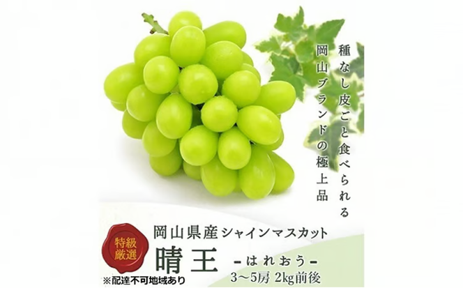 ぶどう 2026年 先行予約 シャイン マスカット 晴王 3～5房 2kg前後 （8月上旬～9月下旬発送分） ブドウ 葡萄 岡山県産 国産 フルーツ 果物 ギフト 果物類 [№5735-1231]