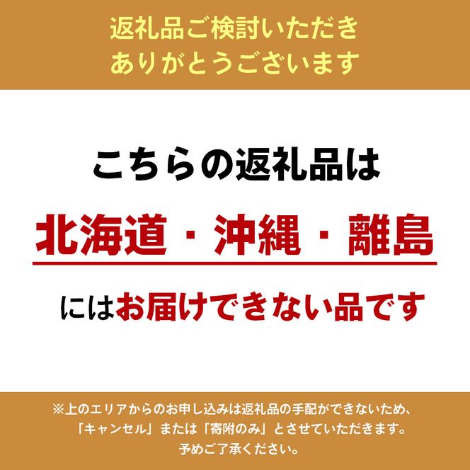 【 小豆島 】小豆島手延べヤーコン麺 160g×12袋 手延べ そうめん 素麺 小豆島 土庄町 麺 ヤーコン ヤーコンめん