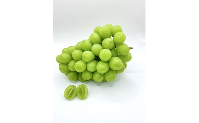 【先行予約2026年8月頃発送】大府市産　シャインマスカット1.4kg(2～3房入） 232238_CT002