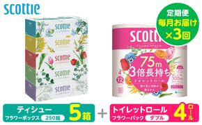 【定期便3回】【毎月お届け】【スコッティ】 組み合わせ ティシュー フラワーボックス 250組 5箱 計15箱 トイレットロール ダブル フラワーパック 3倍長持ち 4ロール 計12ロール ティッシュ トイレットペーパー 日用品 防災備蓄 ストック 備蓄 新生活 防災 消耗品 生活用品 日用消耗品 箱ティッシュ 熊本県 八代市