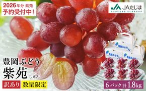 【2026年先行予約】数量限定 訳あり 豊岡ぶどう「紫苑」 約300g×6パック／ 紫苑  しえん ブドウ 葡萄 訳ありぶどう 大粒 強い甘み 爽やかな酸味 新鮮 果物 産地直送 くだもの フルーツ 上品 香り