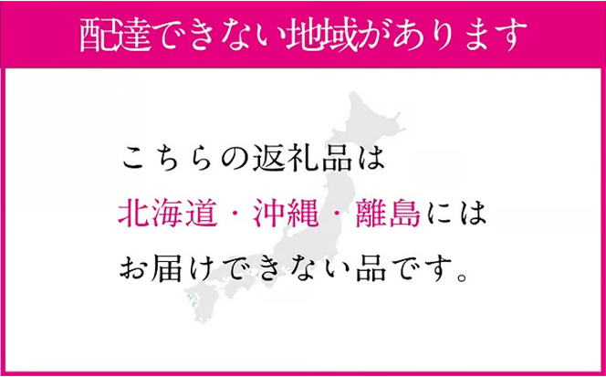 桃 2026年 先行予約 岡山の白桃 300g以上×6玉 白桃 旬 みずみずしい 晴れの国 おかやま 岡山県産 フルーツ王国 果物王国 デザート 岡山の桃 旬の桃 [№5735-1328]