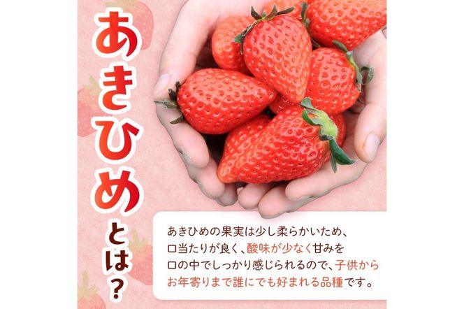 【先行予約／数量限定100】【特選】京都・まつみやファームの大粒いちご（あきひめイチゴ）15～20粒（2025年2月上旬～発送）　MY00001