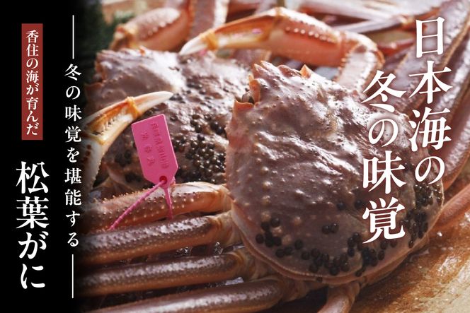 【先行予約】カネニの浜茹で柴山がに 900g以上 冷蔵 【令和8年11月中旬以降発送予定】 高級 ふるさと納税 かにすき 焼きガニ カニ ボイル ふるさと納税 返礼品 おすすめ 兵庫県 香美町 香住 柴山 カネニ 06-21