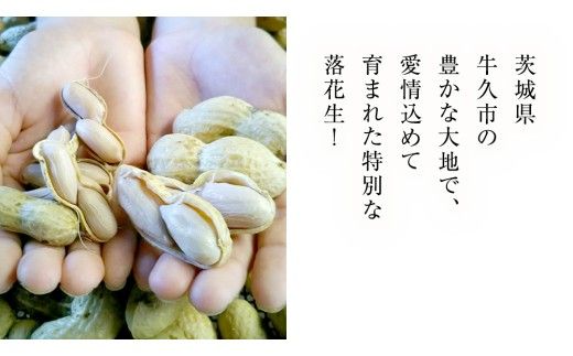 【 選べる 袋数 】 牛久市産 茹で 落花生 1袋 300g入り《 2袋 or 3袋 》 茹で落花生 ゆで落花生 ピーナッツ ナッツ 詰合せ 豆 無塩 塩分不使用 おつまみ おやつ お菓子 素焼き マメ まめ 料理 お茶漬け 国産 小分け お取り寄せ グルメ 茨城県