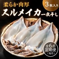 【毎月_定期便 全6回】日本海産柔らか肉厚のスルメイカ一夜干し(大)3枚　 魚貝類 イカ いか スルメイカ お酒 つまみ 特大 新鮮 保存 冷凍 国産 酒の肴 酒のつまみ myz02 myz10 myz11 myz17