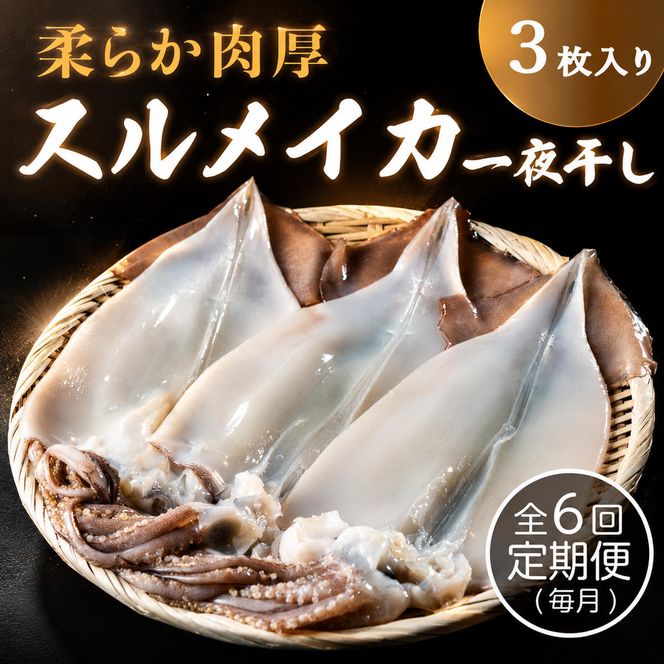 【毎月_定期便 全6回】日本海産柔らか肉厚のスルメイカ一夜干し(大)3枚　 魚貝類 イカ いか スルメイカ お酒 つまみ 特大 新鮮 保存 冷凍 国産 酒の肴 酒のつまみ myz02 myz10 myz11 myz17