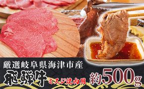 【数量限定】【飛騨牛】海津市産ミスジ焼肉オリジナルカット 【配達不可：離島】 お肉 牛肉 焼肉用 バーベキュー 国産 ブランド牛 岐阜県産 希少部位 柔らかい サシ 霜降り 口どけが良い 脂 バランス おうち焼肉 