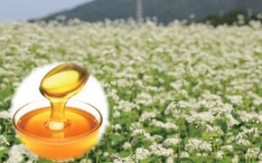 島のはちみつ 180ｇ×2本 国産 純粋はちみつ 非加熱