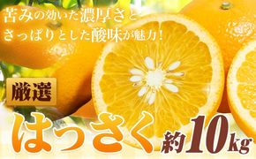  ＜1月より発送＞ 厳選 はっさく 10kg +250g 池田鹿蔵農園 日高町 《1月上旬-3月末頃出荷》和歌山県 日高町 送料無料 はっさくみかん 八朔 はっさく ギフト【配送不可地域あり】---wsh_idn344_1j3m_25_14000_10kg---