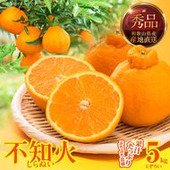 MK1013_不知火 (しらぬい) 秀品 玉ぞろい 箱込 5kg (内容量約4.4kg) 