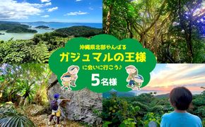 沖縄県北部やんばる・ガジュマルの王様に会いに行こう♪【5名様】