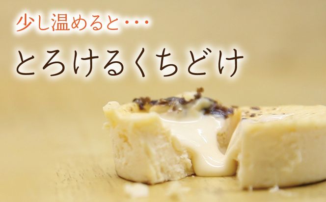 バスク風チーズケーキ　エレチー詰め合わせ SWAL011