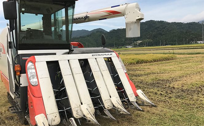 【10月お届け】令和8年産 若狭町コシヒカリ5kg 米 お米 こしひかり 福井県