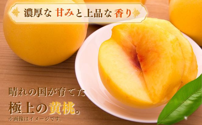 【先行受付】黄桃2kg | 岡山県産 黄金桃 桃 フルーツ 果物 高級フルーツ 岡山 桃 お取り寄せ 産地直送 希少品種 国産フルーツ 黄金桃 人気 数量限定 旬の果物 甘い ジューシー 芳醇 みずみずしい 夏の味覚 先行予約