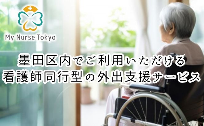 看護師同行 外出支援サービス 6時間コース 介護旅行 医療従事者 看護師 チケット 