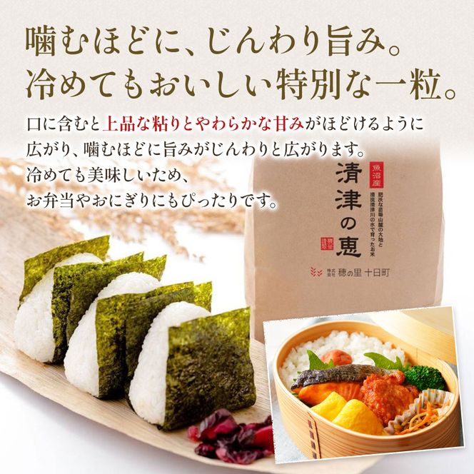 【令和8年産 先行予約】〈定期便〉魚沼産特別栽培米コシヒカリ［清津の恵］精米10kg（5kgx2袋）全12回