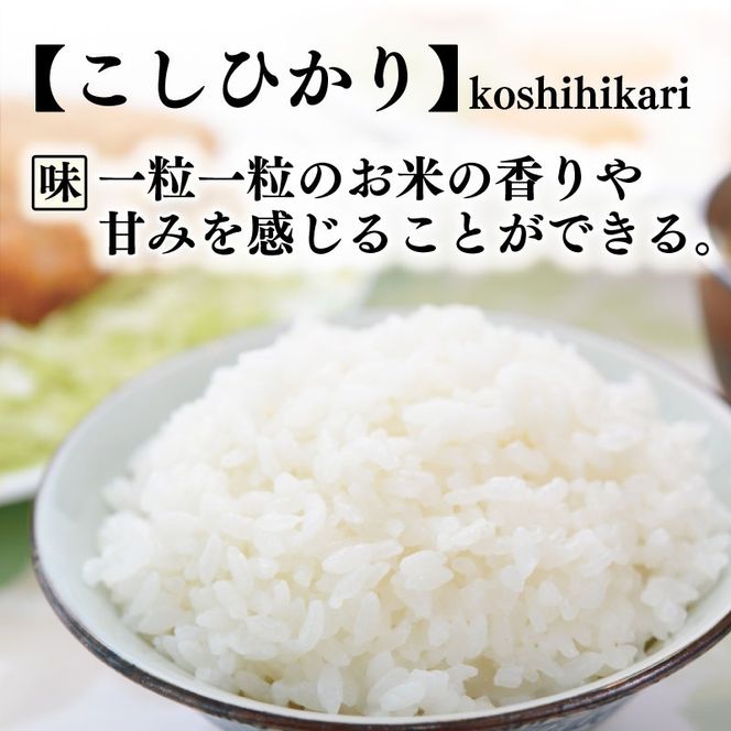 令和8年産 コシヒカリ 白米 選べる 5kg 10kg 単回 定期便 1回 3回 4回 6回 12回 お米 精米 ごはん こしひかり ご飯 高知県産 弁当 おにぎり 料理 新嘗祭皇室献上米 R8年 お取り寄せ 農家直送 美味しい 贈答用 ギフト 炊き立て 朝食 夕食 晩御飯 手作り 国産 日本米 特A米 一等米 冷めても美味しい モチモチ ツヤツヤ 安芸市 高知県