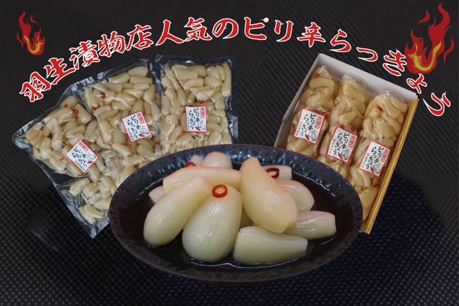 BC-3☆茨城のピリ辛らっきょう