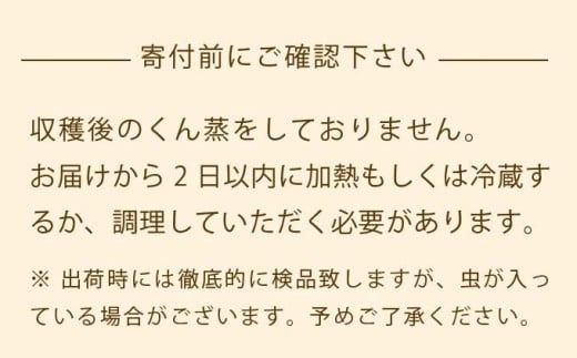 無くん蒸小布施栗 約1kg 約2kg 選べる内容量 ［おぶせファーマーズ］ 果物 フルーツ 生栗 くり 長野県産 信州産 令和7年産 【2025年9月中旬〜11月上旬発送】
