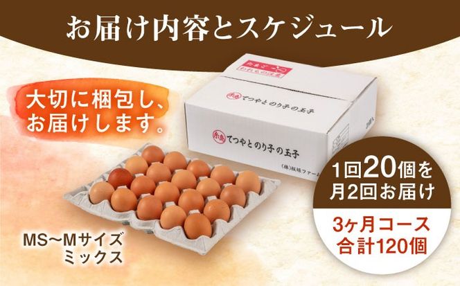 《月2回 × 20個 3ヶ月コース》卵 てつやとのりこの玉子 全6回定期便 糸島市 / 板垣ファーム [AWD012]