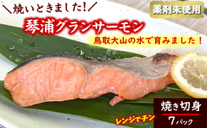 国産とっとり琴浦グランサーモン焼いときました 焼魚7切 塩焼き 不揃いのため訳あり 個包装 レンチン