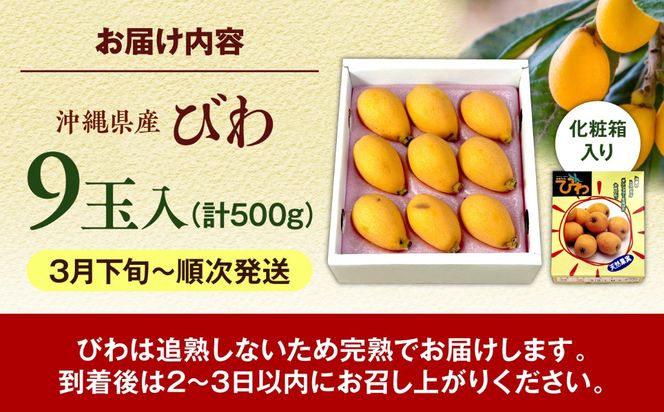 【2027年発送・先行受付】 【化粧箱入り】 沖縄産びわ (500g・9玉入り) フルーツ 果物 ギフト お取り寄せ 沖縄産 沖縄市 / ちゃんぷる〜市場[BCAA008]