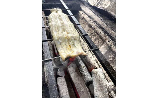 特選国産雌うなぎ蒲焼骨抜き（秘伝タレ付き） 242161_FN002