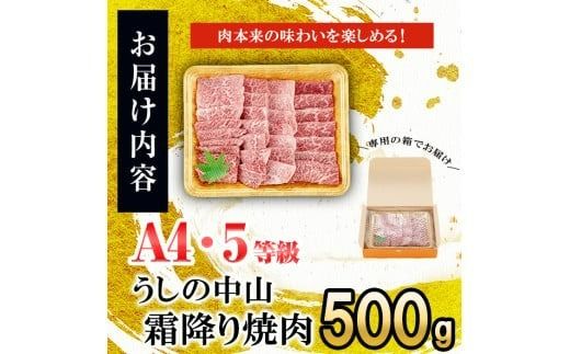 ＜A4・A5等級＞鹿児島県産黒毛和牛 うしの中山 霜降り焼肉用 500g b4-014