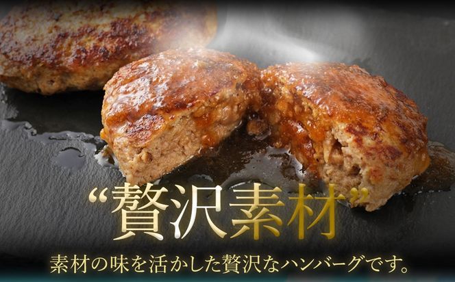 博多和牛100%ハンバーグ130g×5個(ジャポネソース付)【伊豆丸商店】_HA0184