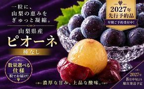 【2027年 先行予約】 山梨県産　種なしピオーネ 粒 選べる容量 約500g 約1.3kg ピオーネ 種無し ブドウ ぶどう 葡萄  フルーツ 果物 贈答 プレゼント FB059_060