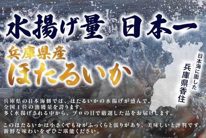 【ほたるいか ボイル 小分け 250g×2パック 500g 酢味噌付 冷蔵】【令和8年3月以降発送予定】 生 ホタルイカ いか イカ 烏賊 茹で しゃぶしゃぶ 国産 兵庫県産 鮮度抜群 新鮮 おすすめ ふるさと納税 返礼品 兵庫県 香美町 香住 モリタ食品 6000円 10-13