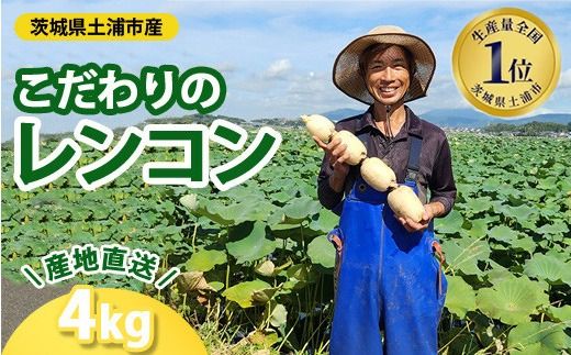 こだわりのレンコン4kg ｜ ギフト 産地直送 茨城県 土浦市産 れんこん 蓮根 シャキシャキ 甘み 送料無料 ※離島への配送不可 ※2025年9月上旬頃より順次発送予定