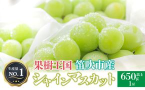 ＜26年発送＞人気 シャインマスカット 650g以上 1房 ※沖縄県及び離島への配送はできませんので予めご了承ください。※常温配送 126-017-26y
